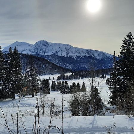 La Petite Foret Chamrousse 1700 Buitenkant foto