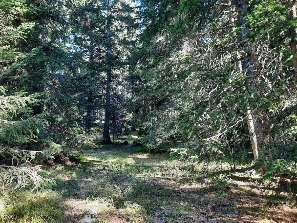 La Petite Foret Chamrousse 1700 Buitenkant foto