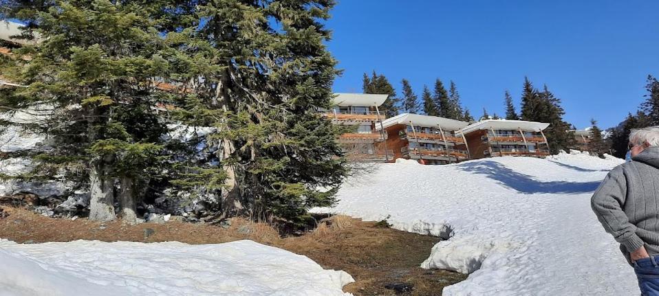 La Petite Foret Chamrousse 1700 Buitenkant foto