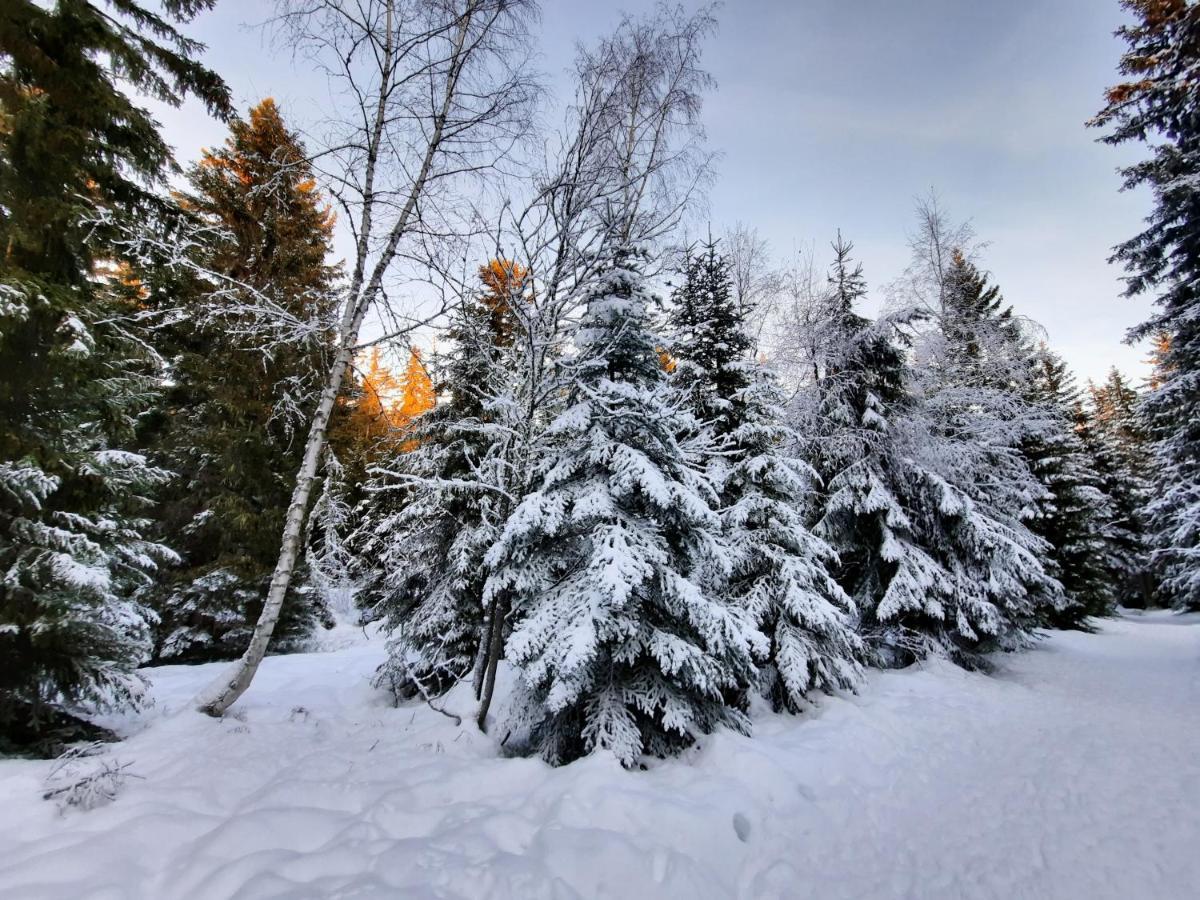 La Petite Foret Chamrousse 1700 Buitenkant foto